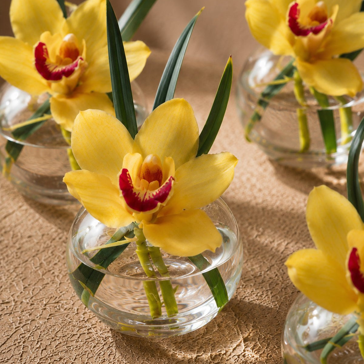 Harper yellow cymbidium orchid arrangements in small round clear glass bud vases by AIWA Flowers