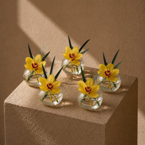 Five Harper yellow cymbidium orchid clear glass bud vases styled on a plinth by AIWA Flowers