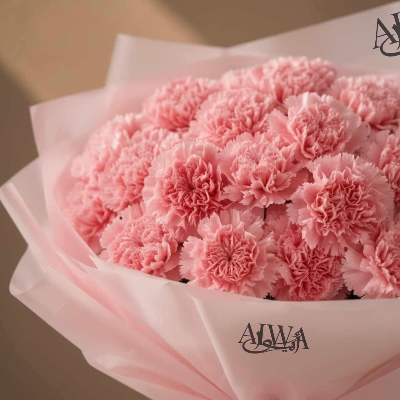 Close-up of pink carnations in white wrap by AIWA Flowers Dubai