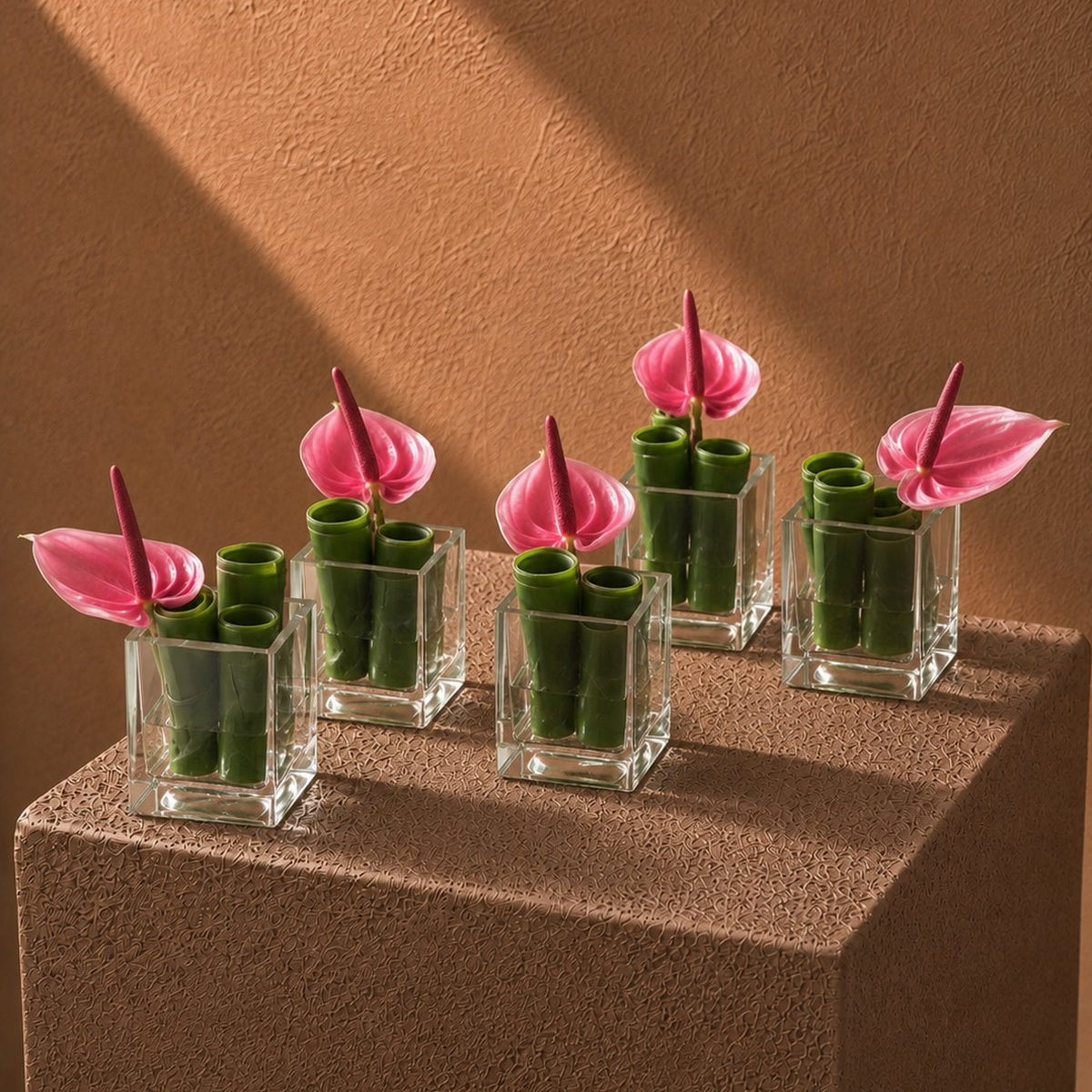 Several Josephine pink anthurium clear glass cube arrangements styled on a plinth by AIWA Flowers