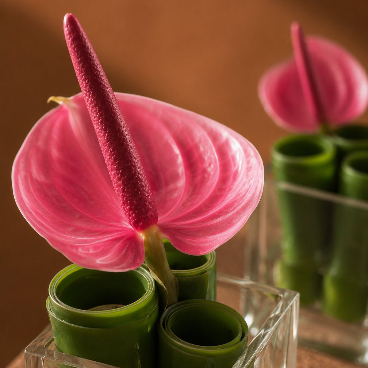 Close-up of a pink anthurium and rolled green leaves in a clear glass cube by AIWA Flowers