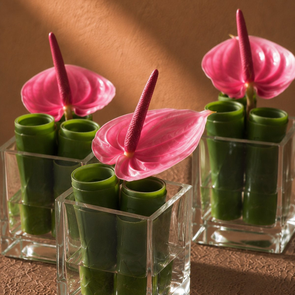 Pink anthuriums with rolled green leaf tubes in clear glass cubes - Josephine by AIWA Flowers