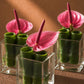 Pink anthuriums with rolled green leaf tubes in clear glass cubes - Josephine by AIWA Flowers