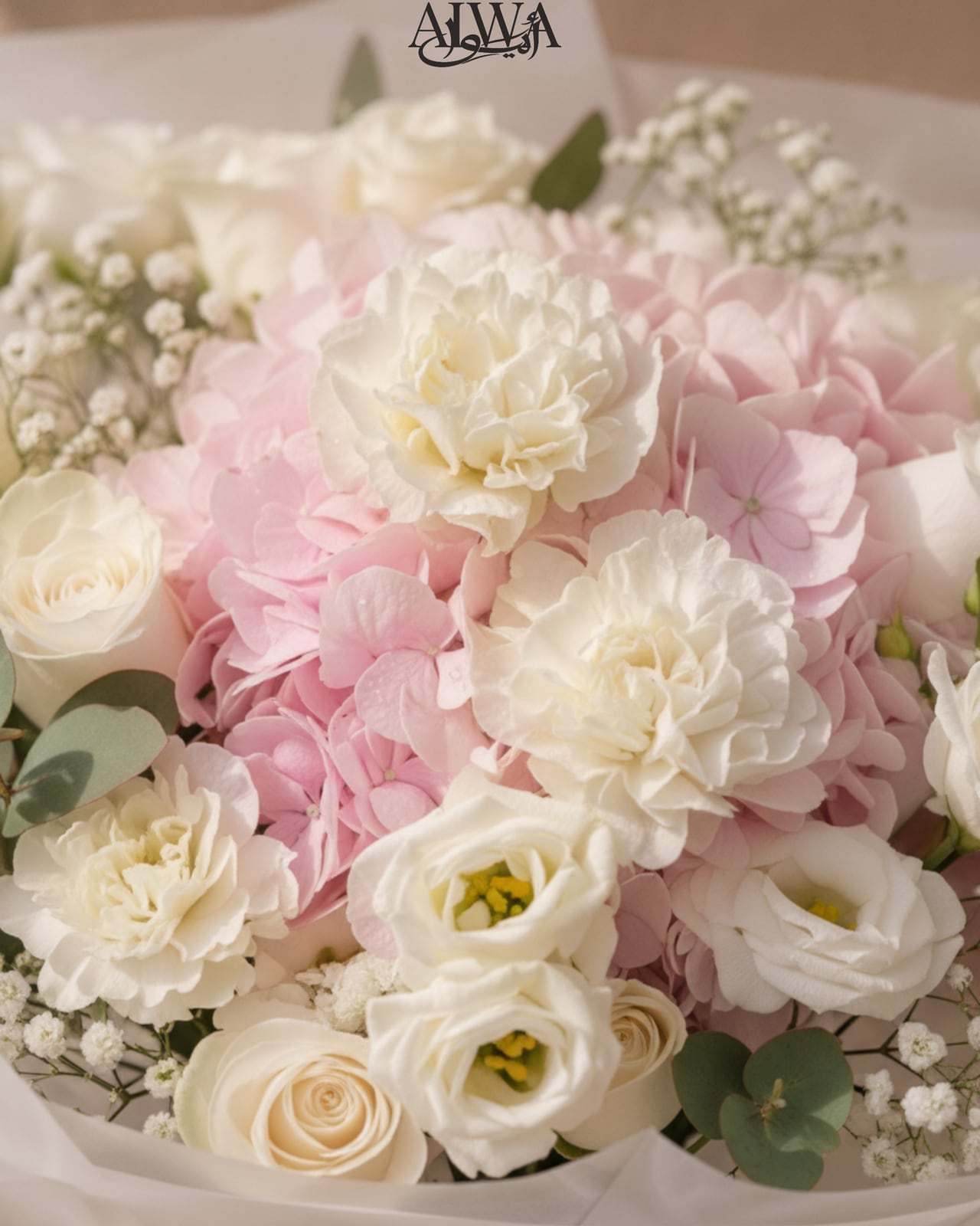 Close-up of white carnations and pink hydrangea by AIWA Flowers Dubai