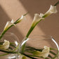 Laura white calla lily arrangement with bear grass in a round clear glass bowl by AIWA Flowers