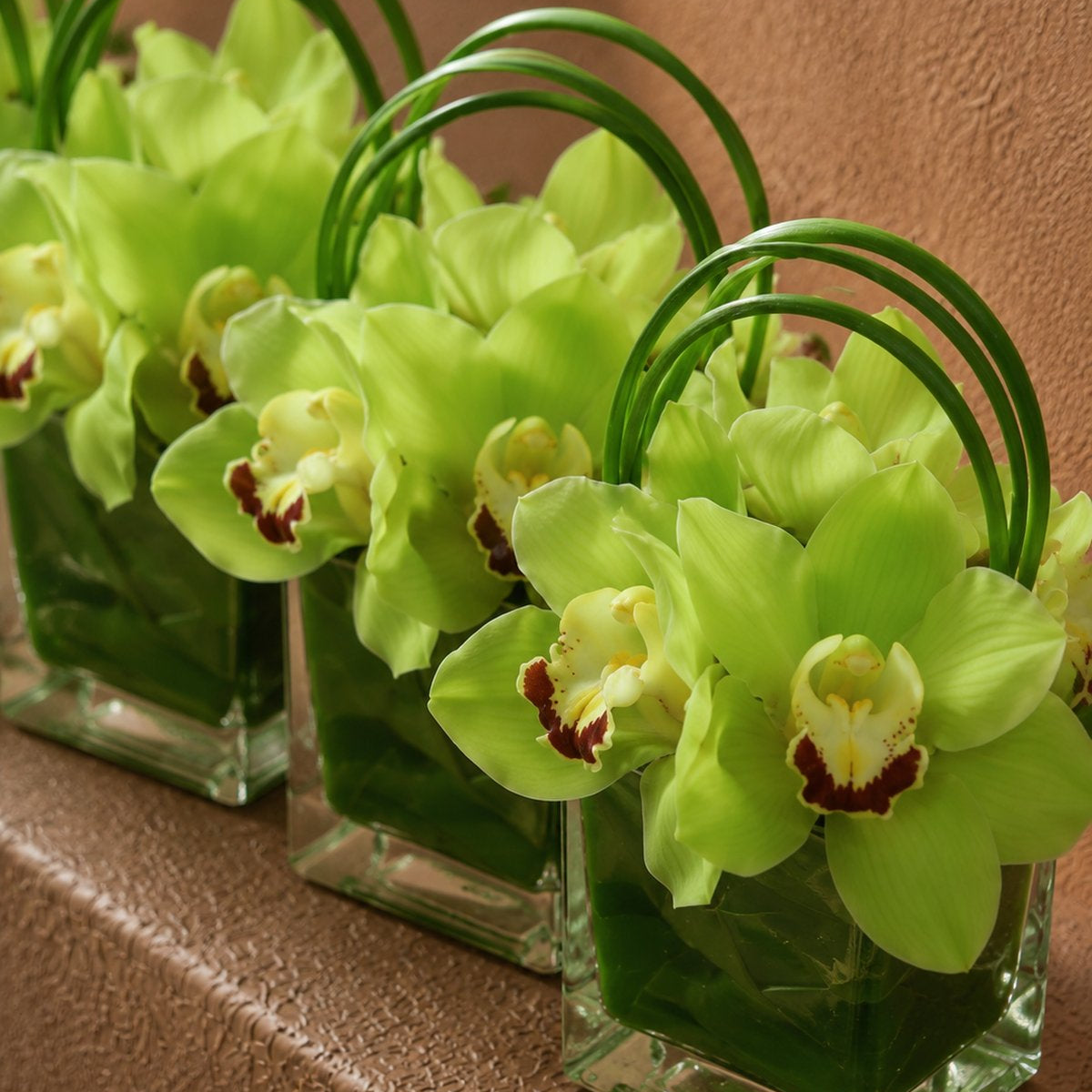 Green cymbidium orchids with a bear-grass loop in clear glass cubes - Lucy by AIWA Flowers