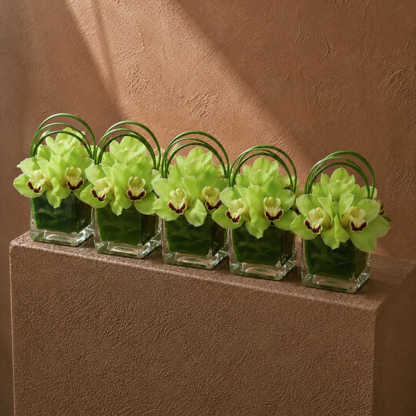 A row of Lucy green cymbidium orchid clear glass cube arrangements by AIWA Flowers