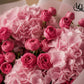 أرجواني