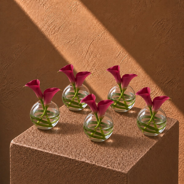 Five Mia magenta calla lily clear glass bud vases styled on a plinth by AIWA Flowers