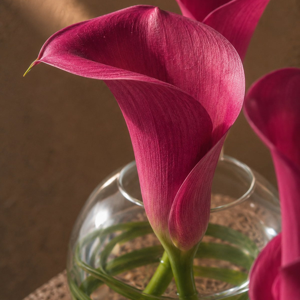Close-up of magenta calla lily blooms in a clear glass bud vase by AIWA Flowers