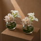White cymbidium orchids and calla lilies in clear glass bowls - Mila by AIWA Flowers