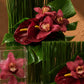 Burgundy cymbidium orchids and red anthurium with tropical greens in clear glass - Nora by AIWA Flowers