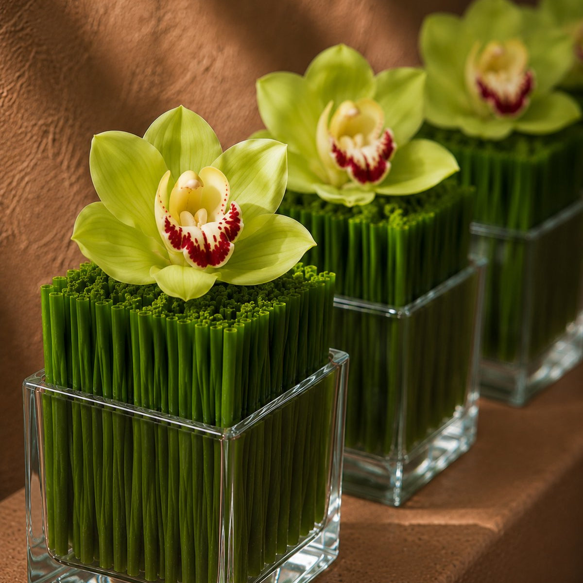 Green cymbidium orchids on packed green reeds in clear glass cubes - Nova by AIWA Flowers