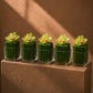 A row of Nova green cymbidium orchid and reed clear glass cubes styled on a plinth by AIWA Flowers