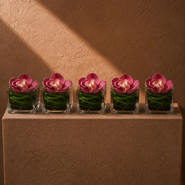 A row of Penelope pink cymbidium orchid clear glass cubes styled on a plinth by AIWA Flowers
