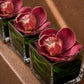 Penelope pink cymbidium orchids on green grass in clear glass cubes by AIWA Flowers