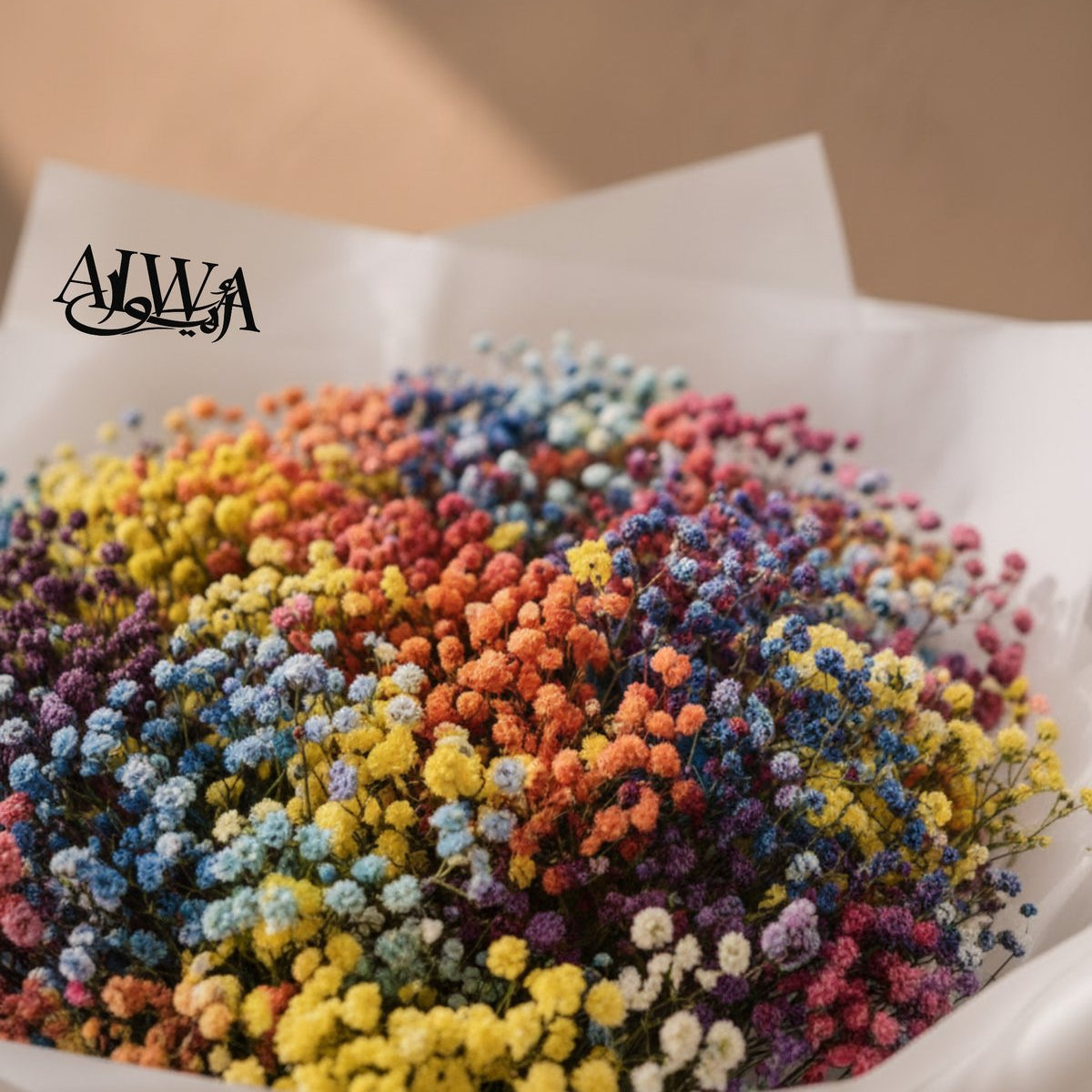 Rainbow gypsophila bouquet in white wrapping on a plinth by AIWA Flowers