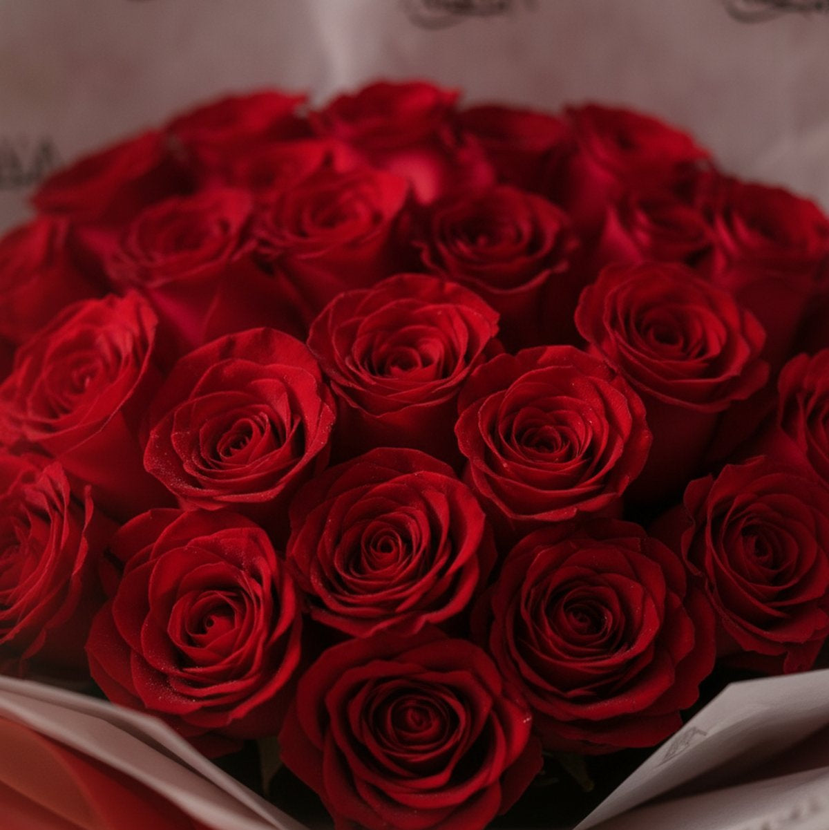 Close-up of deep red roses in red wrapping by AIWA Flowers