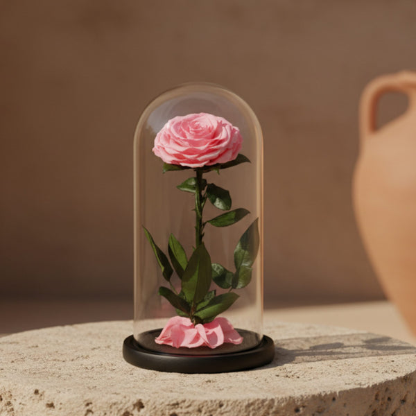 Single pink preserved infinity rose in clear glass dome by Aiwa Flowers