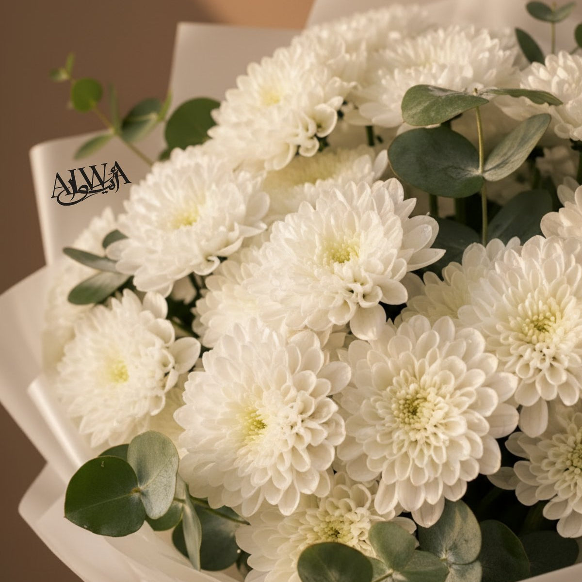Close-up of white chrysanthemum blooms by AIWA Flowers Dubai