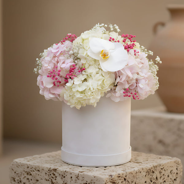 Star flower box with white and pink hydrangeas, white orchid and gypsophila in a white velvet box