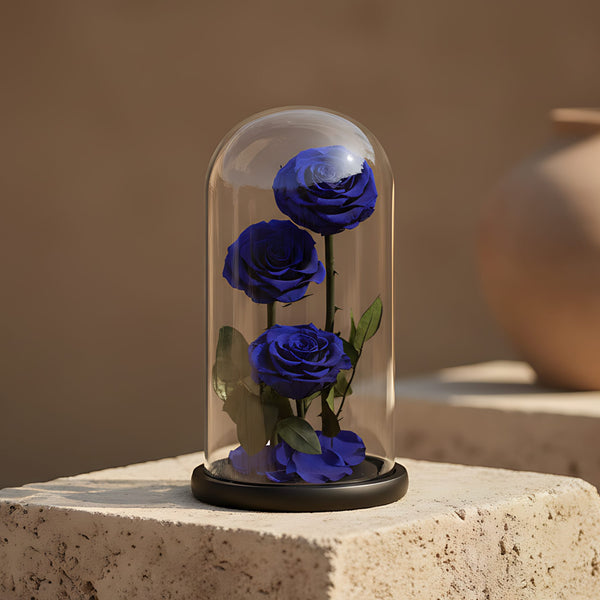 Three large blue preserved infinity roses in clear glass dome by Aiwa Flowers