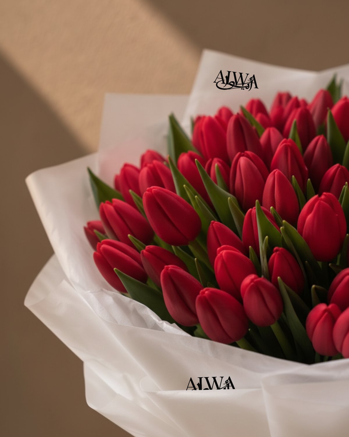 Close-up of vivid red tulips in white tissue wrap - Tulip Wonderland by AIWA Flowers