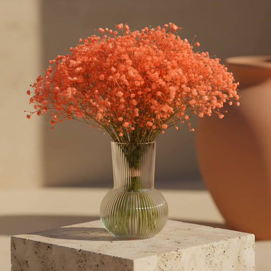 Valentina arrangement with orange gypsophila in a clear glass vase