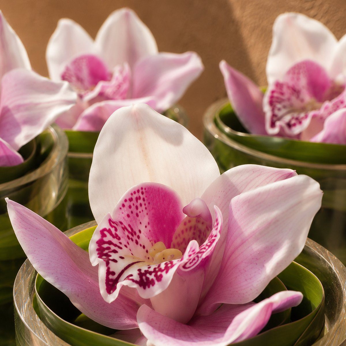 Close-up of a pink cymbidium orchid with a speckled throat in a clear glass vase by AIWA Flowers