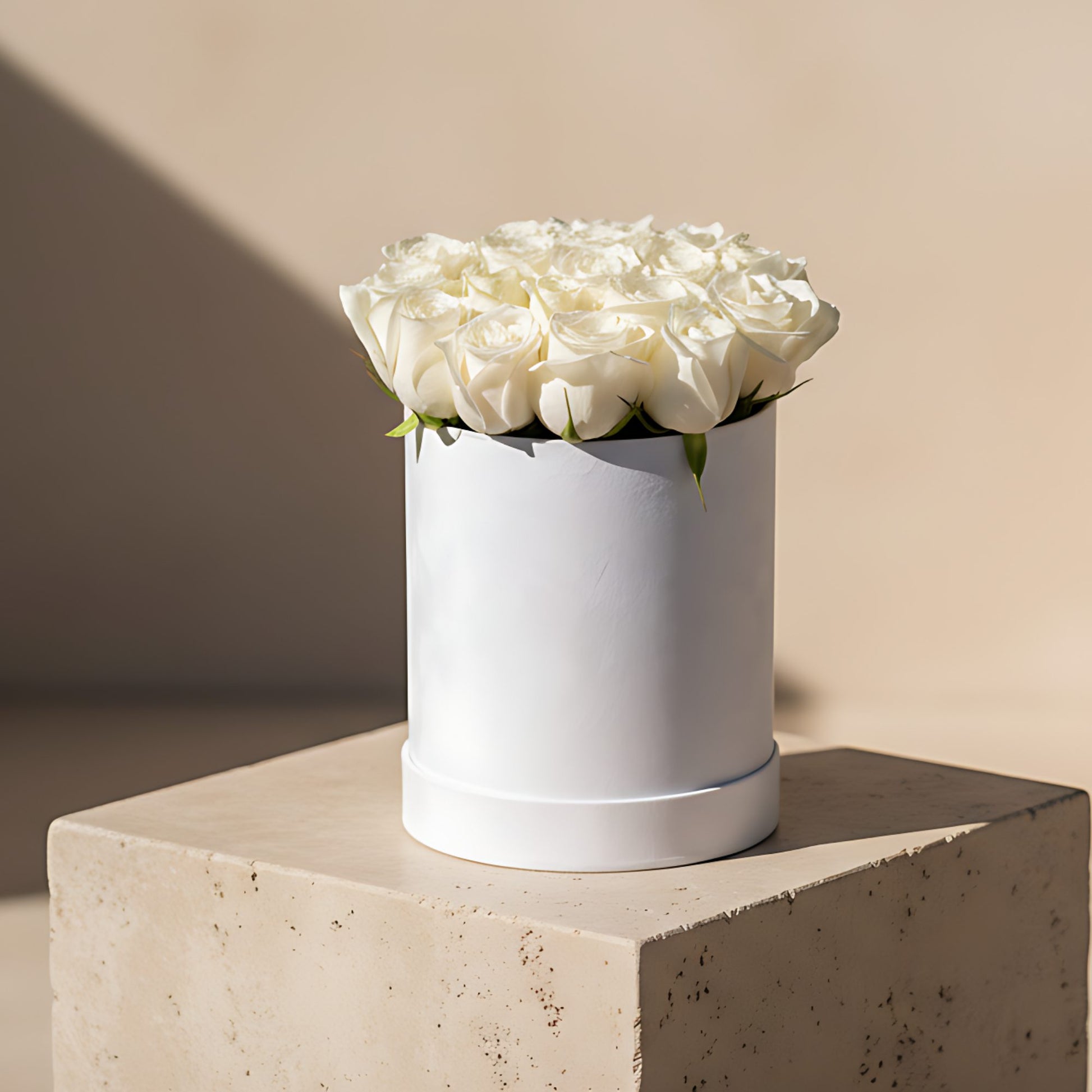 White in a Box white velvet flower box with 15 to 20 fresh white roses
