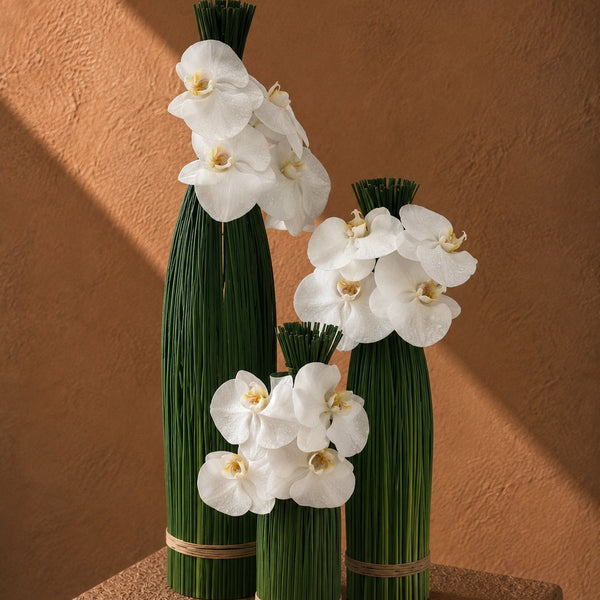 Three White Poise white orchid and green reed sculptural columns styled on a plinth by AIWA Flowers
