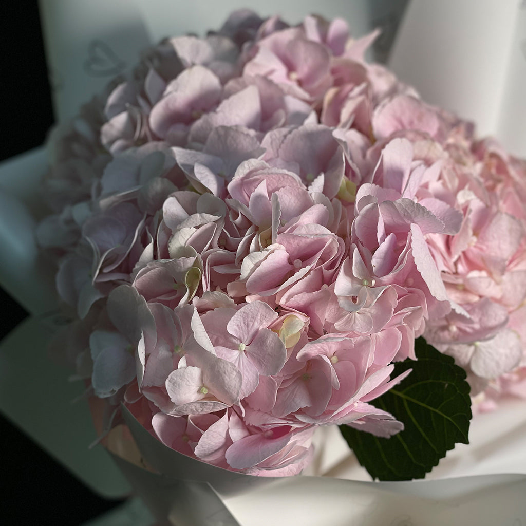 Pink Hydrangea Bouquet
