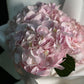 Pink Hydrangea Bouquet